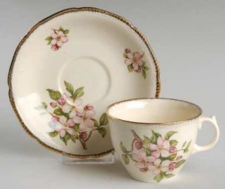 Royal Swan Blossomtime Flat Cup & Saucer Set, Fine China Dinnerware   Pink & Mau