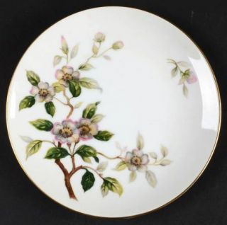 Harvan Dogwood Bread & Butter Plate, Fine China Dinnerware   Dogwood Blossoms