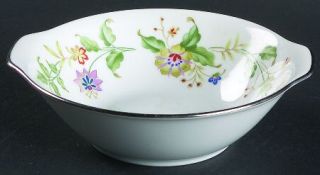 Noritake Nouveau Lugged Cereal Bowl, Fine China Dinnerware   Green/Purple,Blue/Y
