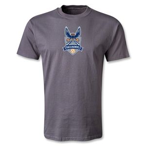 hidden Carolina Railhawks T Shirt (Dark Gray)