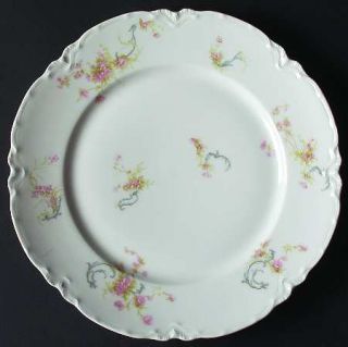 Haviland Schleiger 57a Dinner Plate, Fine China Dinnerware   H&Co,Blank 1,Pink R