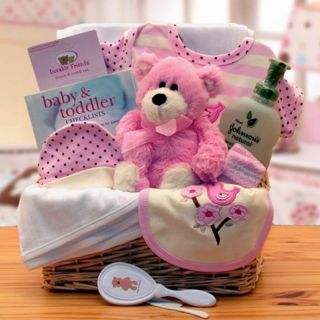 Organic New Baby Basics Gift Baskets   Pink   890532 P