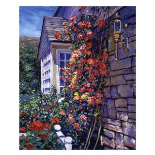 Magnificent Climbing Roses Canvas Art by David Lloyd Glover Multicolor  