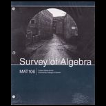 Survey of Algebra CUSTOM PACKAGE<