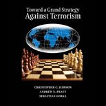 Toward a Grand Strategy Against Terrorism