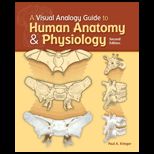 Visual Analogy Guide to Human Anatomy and Physiology (Looseleaf)