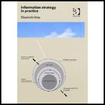 Information Strategy in Practice