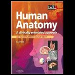 Human Anatomy A Clinically Orientated Approach