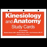Kinesiology and Anatomy  Study Cards (New Only)