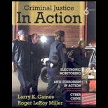 Criminal Justice in Action (Paper)