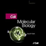Molecular Biology  Academic Cell