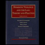 Domestic Violence and the Law  Theory and Pract.
