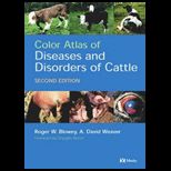 Diseases and Disorders of Cattle