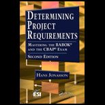 Determining Project Requirements