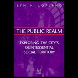 Public Realm  Exploring the Citys Quintessential Social Territory