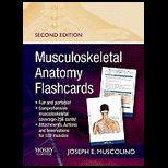 Musculoskeletal Anatomy Flashcards