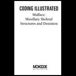 Coding Illustrated Midface, Maxillary V2