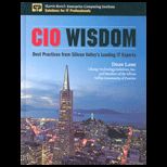 CIO Wisdom  Best Practices from Silicon Valley