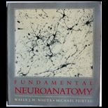 Fundamental Neuroanatomy