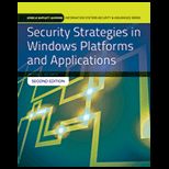 Security Strategies in Windows Platforms and Applications