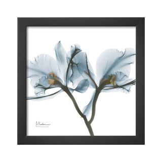 ART Orchids in Blue Framed Print Wall Art