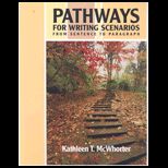 Pathways for Writing Scenarios Package