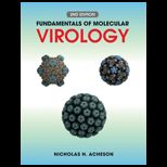 Fundamentals of Molecular Virology