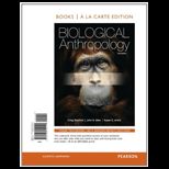 Biological Anthropology (Looseleaf)