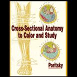 Cross Sectional Anatomy to Color and Study