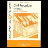 Civil Procedure  Examples and Explanations