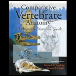 Comparative Vertebrate Anatomy  Lab Guide