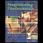 Programming Fundamentals Using Ms. Vb. NT (Custom)