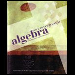 Intermediate Algebra Solution Manual