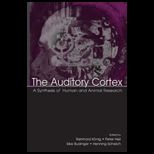 Auditory Cortex A Synthesis of Human and Animal Research