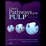 Pathways of the Pulp