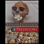 HUMAN EVOLUTION IN PRE HISTORY