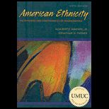 American Ethnicity (Custom)