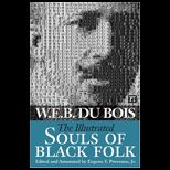 Illustrated Souls of Black Folk