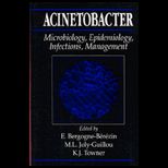 Acinetobacter  Microbiology, Epidemiology, Infections, Management