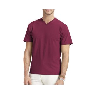 Izod V Neck Tee, Anemone, Mens