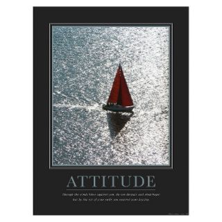 Art   Attitude Sailing Framed Print
