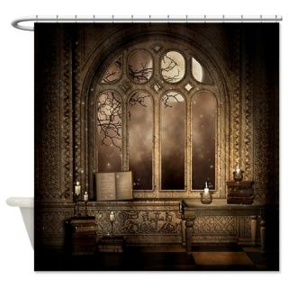  Gothic Library Window Shower Curtain