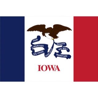 Iowa State Flag   4 x 6