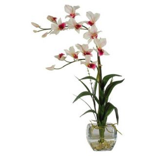 Dendrobium Orchid in Glass Vase 22   White