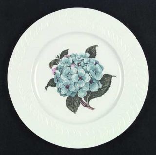 Haviland Hydrangea Dinner Plate, Fine China Dinnerware   New York, Greylock Shap