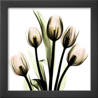 Art   Tulip Bouquet Framed Print