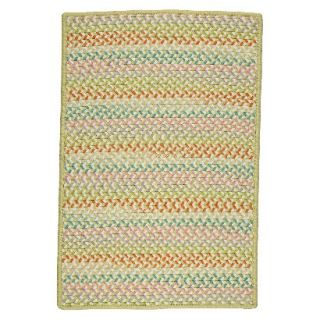 Color Craze Braided Accent Rug   Green (3x5)