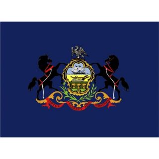 Pennsylvania State Flag   3 x 5