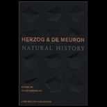 Herzog and De Meuron