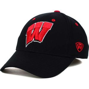 Wisconsin Badgers Top of the World NCAA Memory Fit Dynasty Fitted Hat